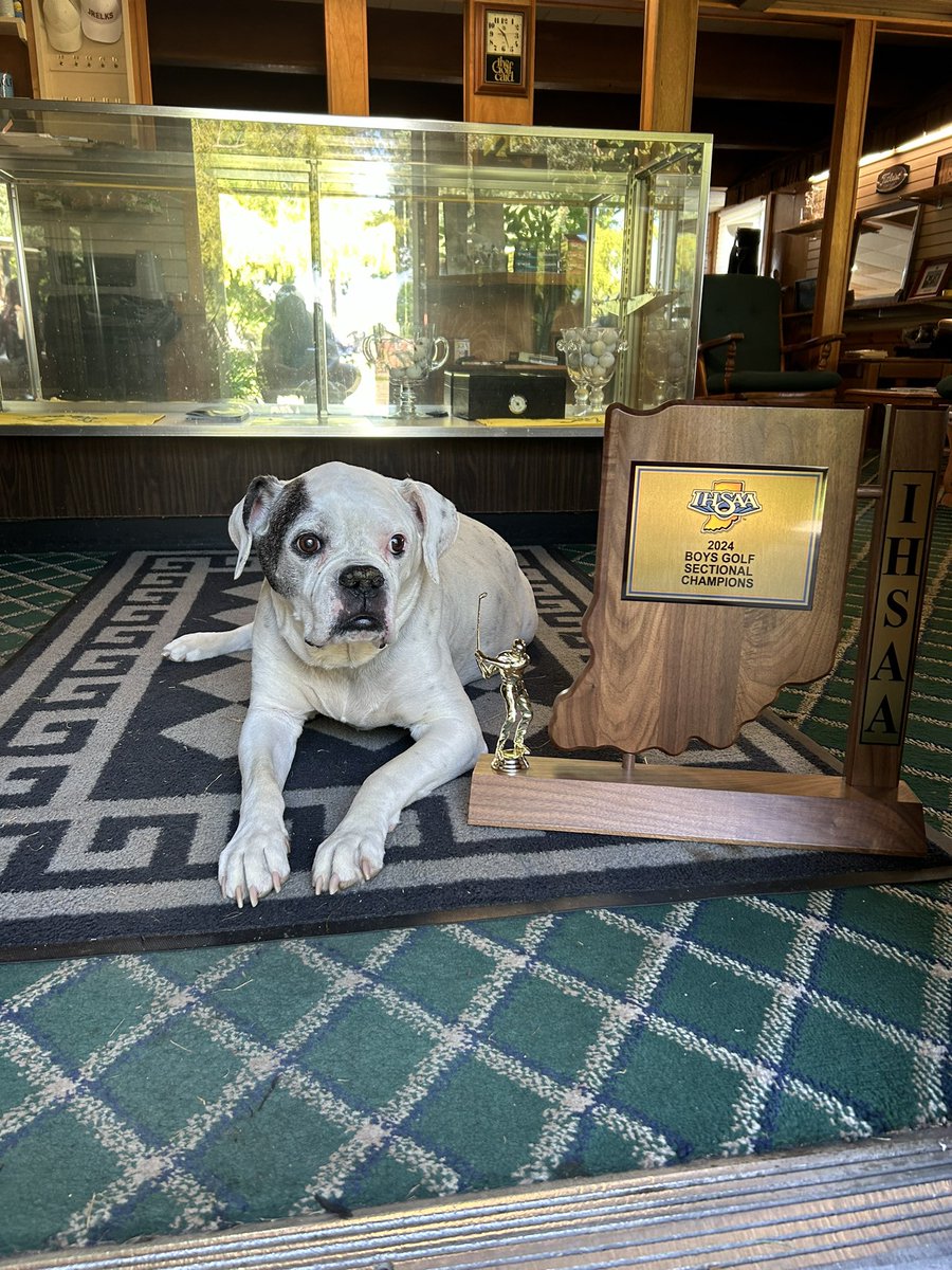 Hickory Hills Golf Club (@puckshh) on Twitter photo Max is excited for the IHSAA Boys Golf Sectional! <a href="/DogsOfTurf/">Dogs Of Turf</a>
<a href="/IHSAA1/">IHSAA</a> <a href="/MCGoldenBears_/">Monroe Central Golden Bears</a> <a href="/DeltaEagles_/">ππππ§π ππ§ππππ§πππ¦</a> <a href="/UC_Athletics/">UC Indians</a> <a href="/YorktownGolf/">Yorktown Tigers Golf</a> <a href="/WinchesterComm1/">Winchester Community HS</a> <a href="/wapathletics/">Wapahani Athletics</a> @WD_Athletics <a href="/JayCoPatriots/">Jay County Athletics</a> <a href="/Cowan_Athletics/">Cowan Athletics</a> <a href="/Central_MCS/">Principal Walker</a> <a href="/Go_RS_Rebels/">RS Rebel Athletics</a> Max is excited for the IHSAA Boys Golf Sectional! <a href="/DogsOfTurf/">Dogs Of Turf</a>
<a href="/IHSAA1/">IHSAA</a> <a href="/MCGoldenBears_/">Monroe Central Golden Bears</a> <a href="/DeltaEagles_/">ππππ§π ππ§ππππ§πππ¦</a> <a href="/UC_Athletics/">UC Indians</a> <a href="/YorktownGolf/">Yorktown Tigers Golf</a> <a href="/WinchesterComm1/">Winchester Community HS</a> <a href="/wapathletics/">Wapahani Athletics</a> @WD_Athletics <a href="/JayCoPatriots/">Jay County Athletics</a> <a href="/Cowan_Athletics/">Cowan Athletics</a> <a href="/Central_MCS/">Principal Walker</a> <a href="/Go_RS_Rebels/">RS Rebel Athletics</a>