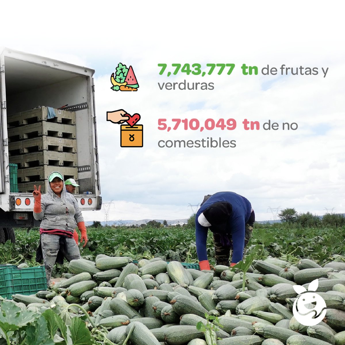 BamxTapachula's tweet photo. En el 2023 dimos un gran paso hacia la lucha contra la pérdida y el desperdicio de alimentos al rescatar más de 170 millones de alimentos 🍏🍞💪

¡Cada kilo cuenta!

#RedBAMX #NosLlenaAlimentar #Rescate #Alimentos https://t.co/i6Lr0LBZy4