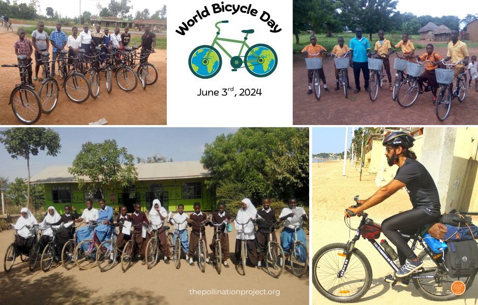 Pollinationproj's tweet image. 🚴‍♀️ Happy #WorldBicycleDay! Today, we celebrate transformative journeys of The Pollination Project grantees who&apos;ve empowered communities with bicycles, enhancing safety and access to education for girls in #Kenya, #Tanzania, and #Ghana, and promoting veganism across #India 🧡