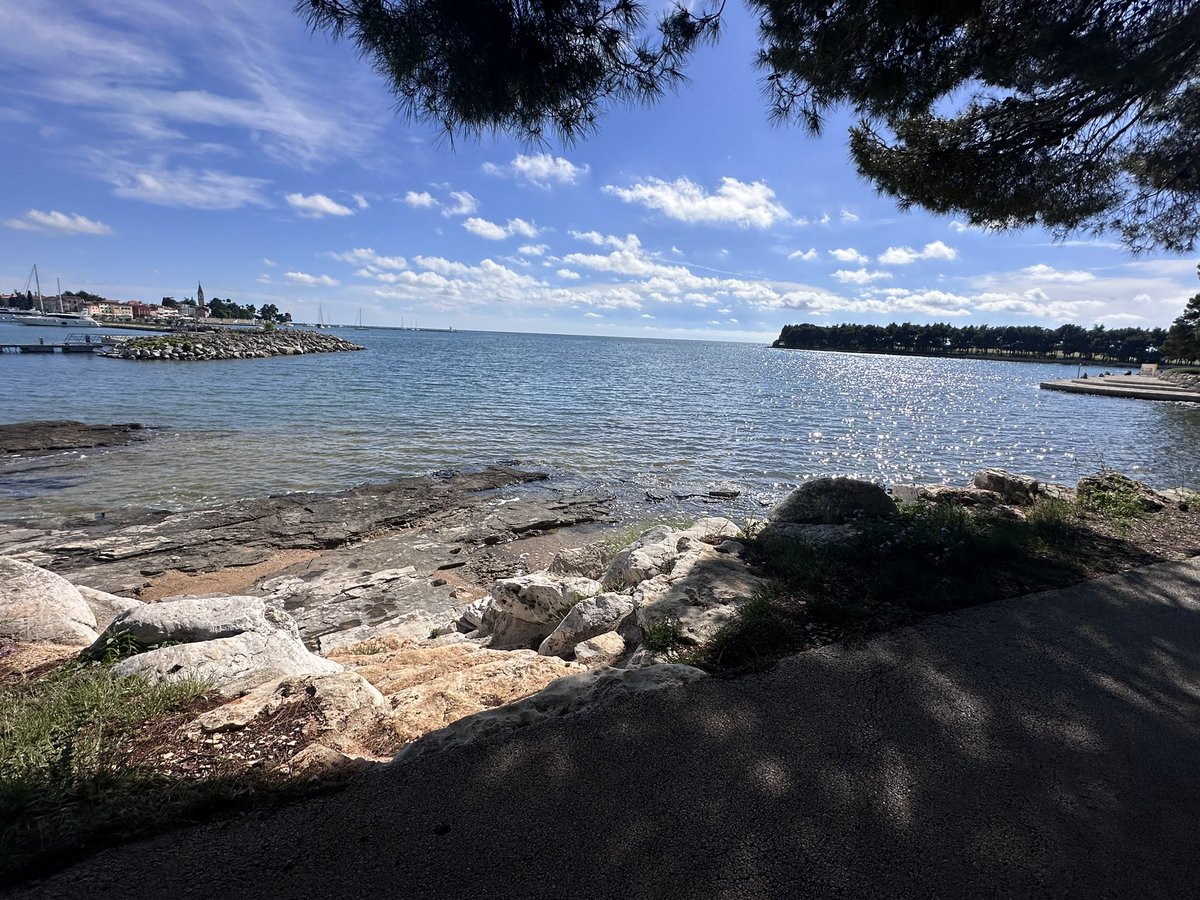 il vento 🎀 tweet media