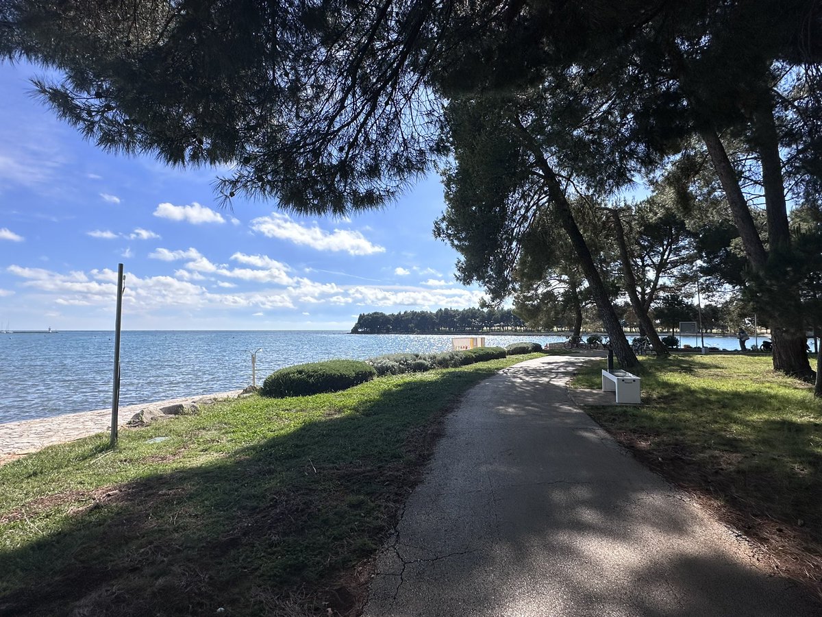 il vento 🎀 tweet media