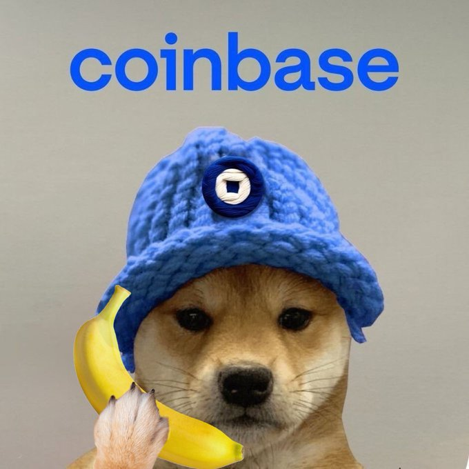 dogwifcoin's tweet photo. Ring ring @coinbase 

$WIF https://t.co/Z1eom2nImw