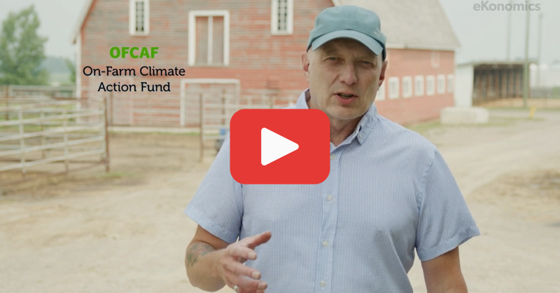 OntAg's tweet photo. Ask an Agronomist with @NutrienAgCda: What gov. incentives are available to support Canadian farmers' sustainability goals?

@lecowell give you the answers in the below video 🔻

#CdnAg #Crops
