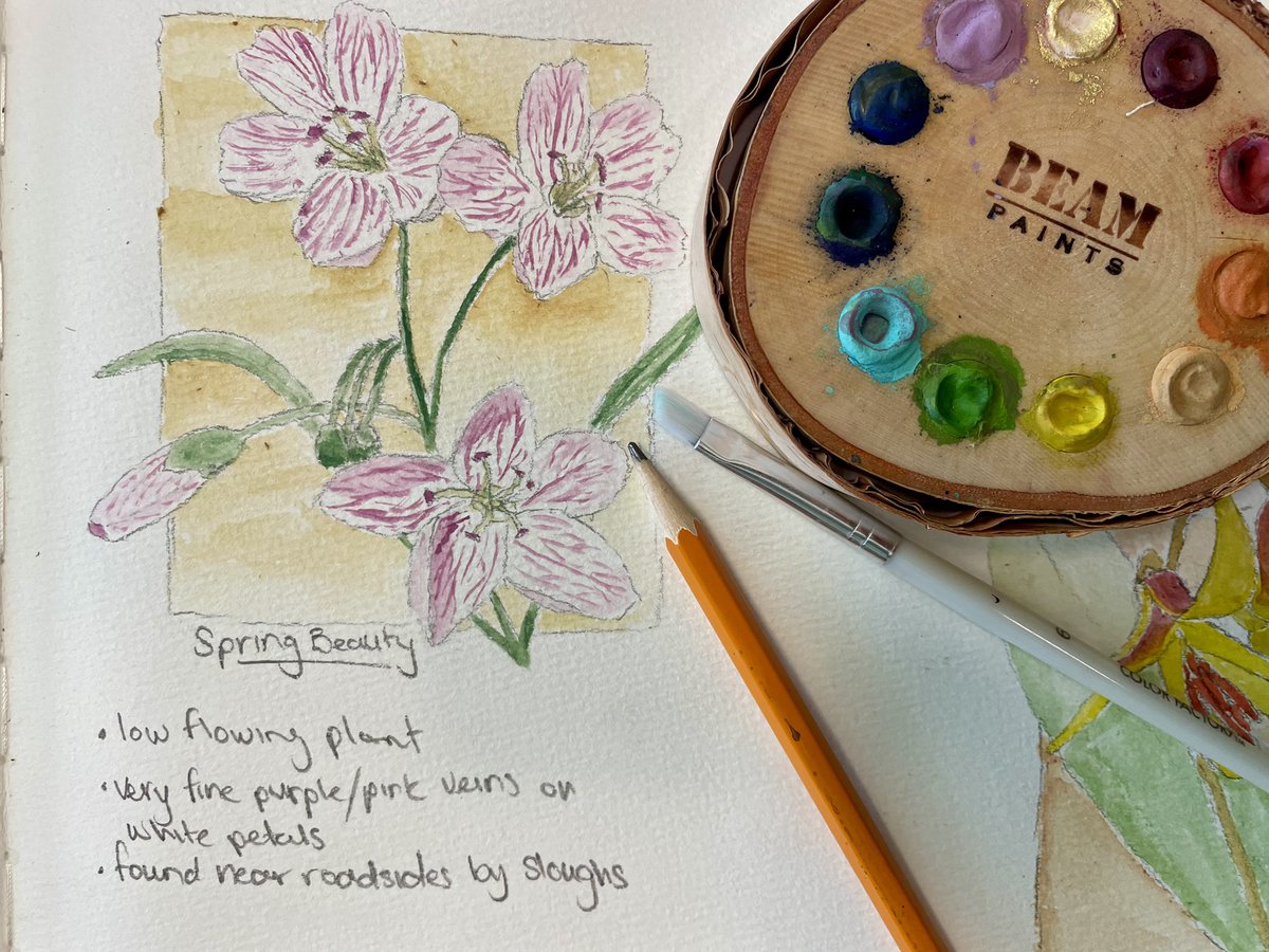 Rondeau_PP's tweet photo. This week is International #naturejournalingweek. Nature journaling is a fantastic way to connect with nature. Today’s theme: germination &amp; emergence. 🌱 

Watch for nature journaling programs throughout the summer! 🎨 ✏️ 📕 

[Image: A painting of flowers with paints &amp; brushes.] https://t.co/ssfLlR3YFU