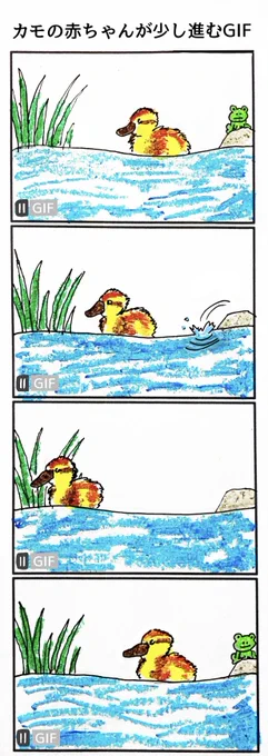 4コマ
「カモの赤ちゃんが少し進むGIF」 