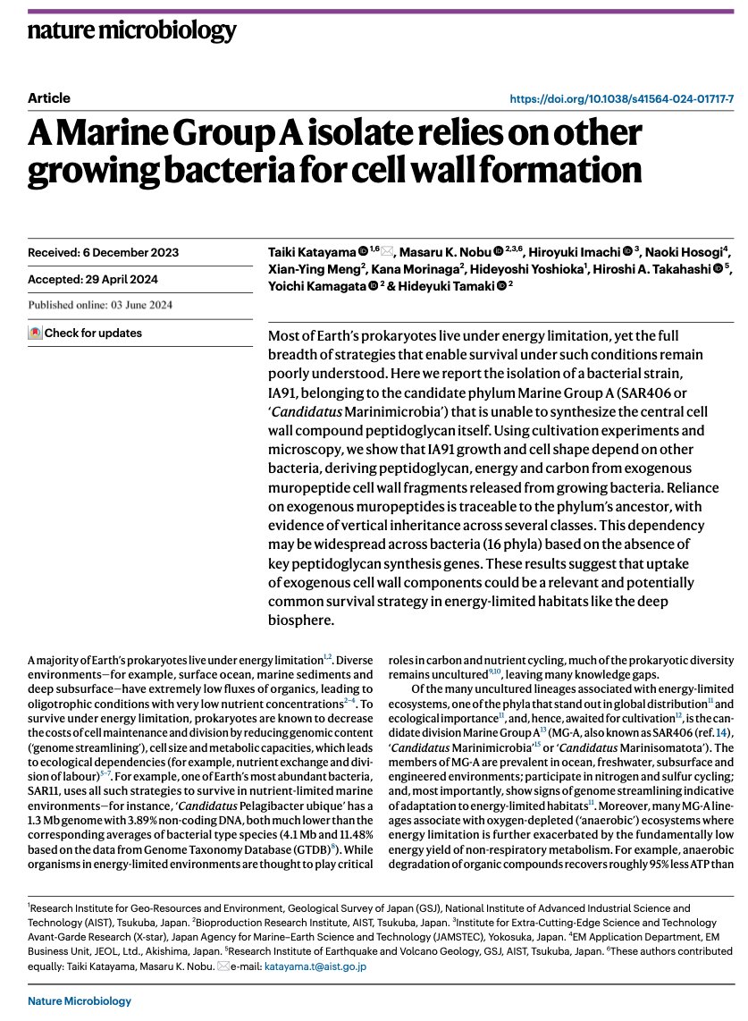 Niko McCarty. tweet media