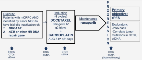 UroToday.com tweet media
