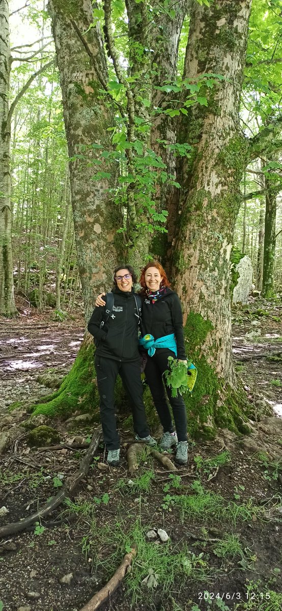 chdeaza's tweet image. Estupendo día en #bip kA131 donde personal del area de edafología de la @ETSIIAAPalencia, del Gir SQS, @youngForesters y máster #dataforest alucinan con el suelo y su vegetación en el Parco Nazionale D&apos;abruzzo Lazio e Molise en plenos apeninos. @UVaPalencia  @UVa_es 
 @relintUVa