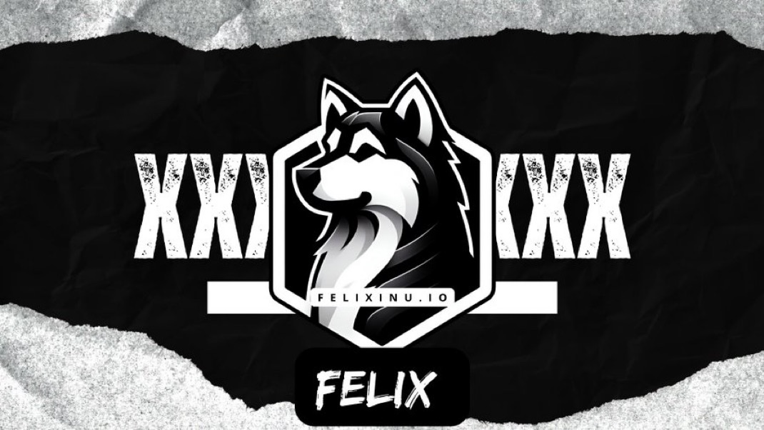 FelixInuETH's tweet image. Good Morning Felix Army, Felix will rise soon and change the Dog meme space forever. The rue holders will be rewarded.