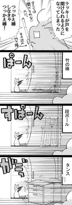 四コマ「拾い猫ラッキー16」

諦めずにガタガタ戸を揺らすことで、タンスも動かしてました。

#猫 #御かぞくさま御いっこう #四コマ漫画 