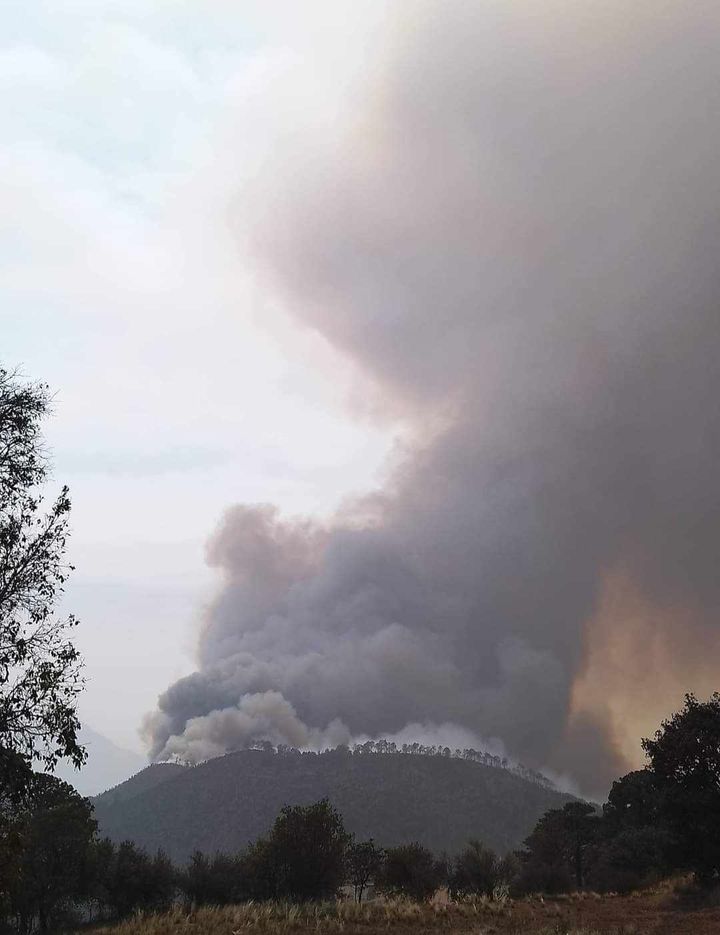 alcalorpolitico's tweet image. #VíaCorreo 📧| Persisten incendios en cerro Quimixtlan y cerro Comalixhuatla, en #IxhuacánDeLosReyes; solicitan ayuda urgente de las autoridades. "Cada vez se extiende más, ha habido derrumbes y muchas personas fueron desalojadas", expone habitante. 
@PCEstatalVer @CONAFOR…