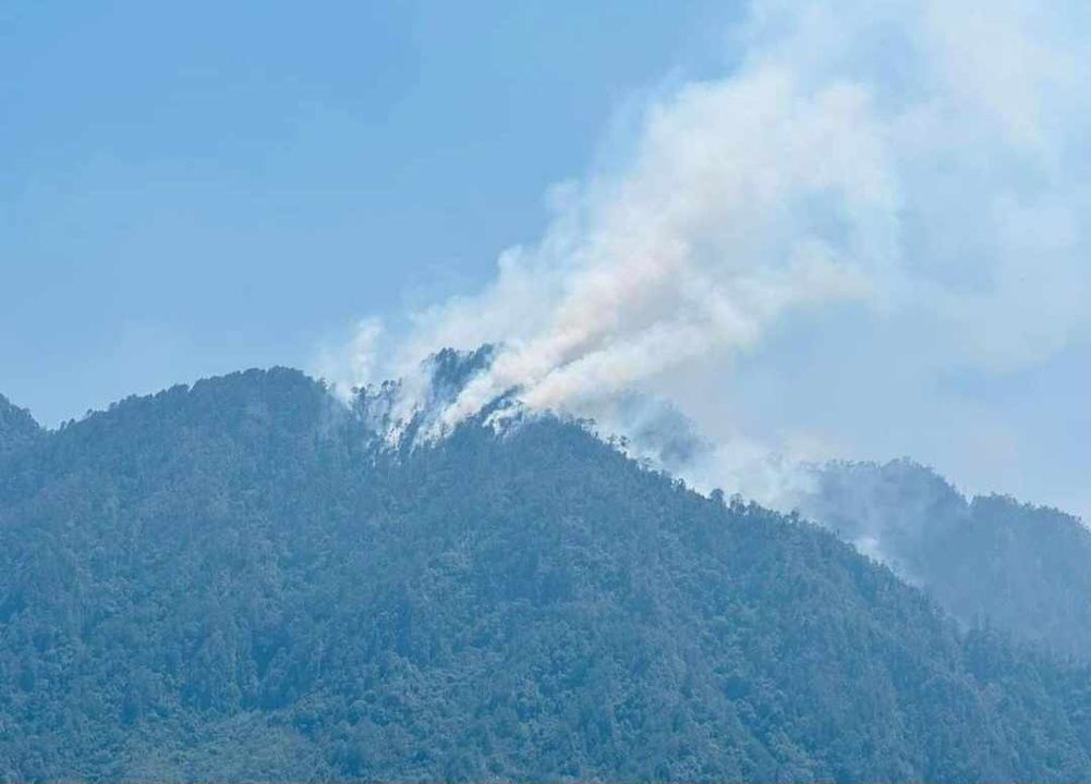 alcalorpolitico's tweet image. #VíaCorreo 📧| Persisten incendios en cerro Quimixtlan y cerro Comalixhuatla, en #IxhuacánDeLosReyes; solicitan ayuda urgente de las autoridades. "Cada vez se extiende más, ha habido derrumbes y muchas personas fueron desalojadas", expone habitante. 
@PCEstatalVer @CONAFOR…