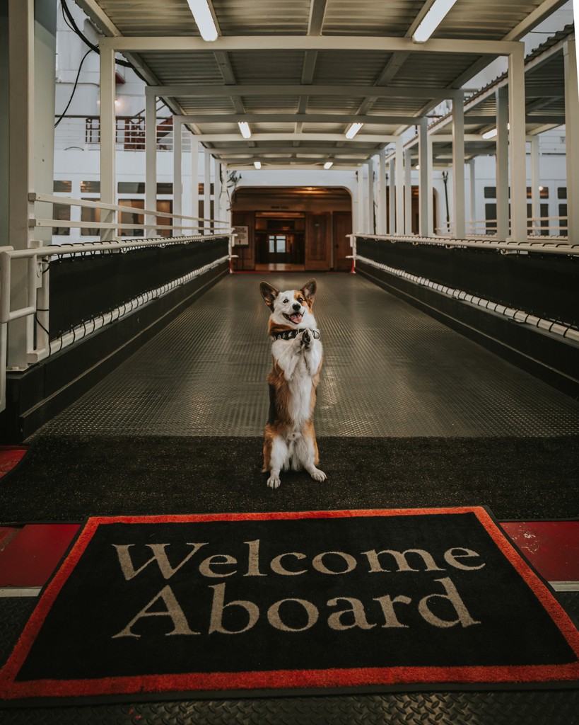 TheQueenMary's tweet photo. Happy Monday! 🌞 All set for another week of adventures and memories. We can't wait to welcome you aboard on your next visit! 

📸: @wolfgangthecorgi https://t.co/onXy1cqJWH