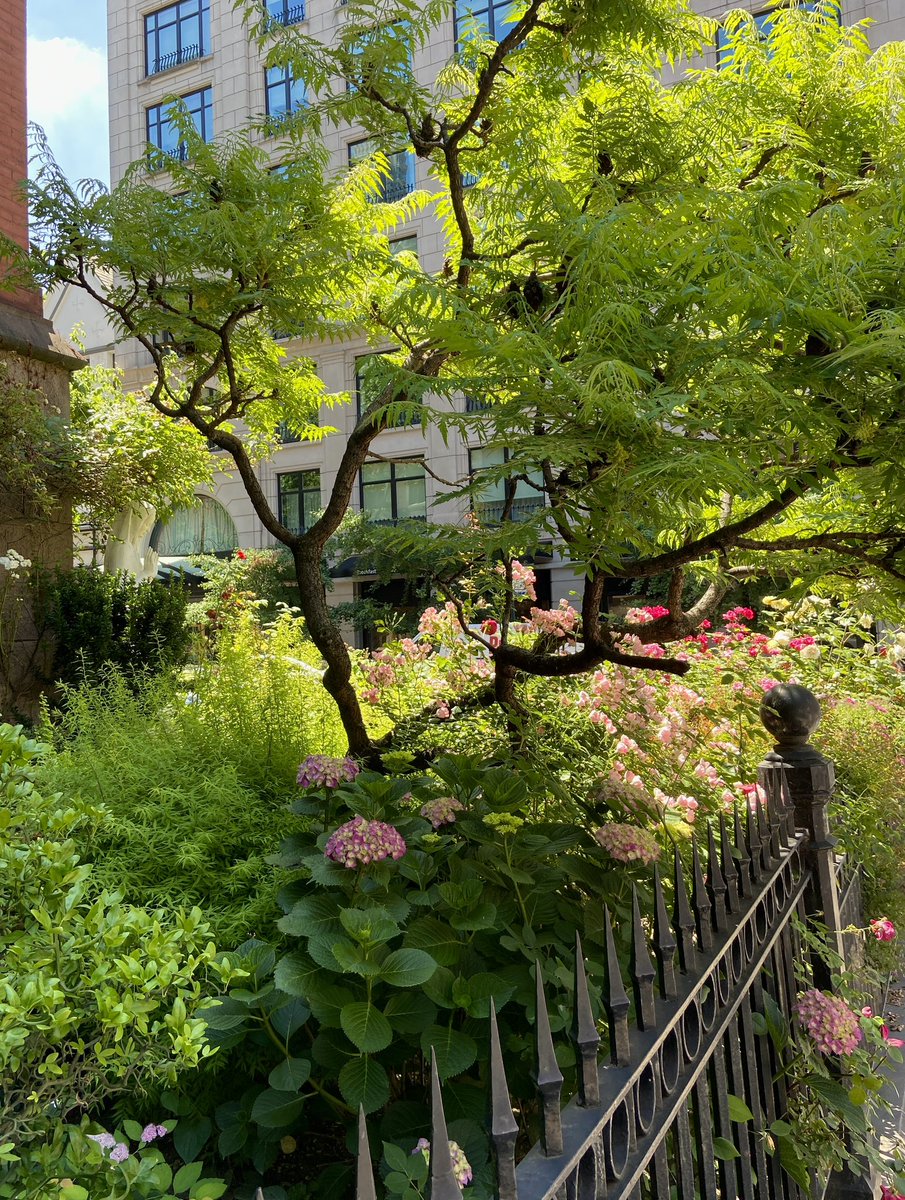 David Luft (@davidjluft) on Twitter photo 