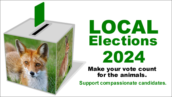banbloodsports's tweet photo. Waterford local election candidates and animal cruelty issues https://t.co/bm7Dpbm27T On 7th June, please vote for compassionate candidates and reject those who support animal cruelty #LE24 #Waterford #Comeragh #Portlaw #Kilmacthomas #Dungarvan #Lismore #Tramore https://t.co/Uxk64h1SDQ