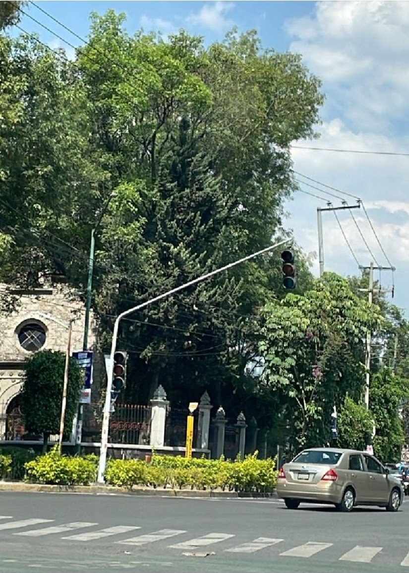 MeliMontM's tweet photo. @UCS_GCDMX @UCS_GCDMX @VigimoviCDMX @OVIALCDMX 
Buen dia nos podrian apoyar por favor para reparar los semáforos  Calzada de los Gallos y Plan de Ayala Cruze con Avenida Camarones en el límite de Miguel Hidalgo y Azcapotzalco. Por favor https://t.co/8tojGXJF3t