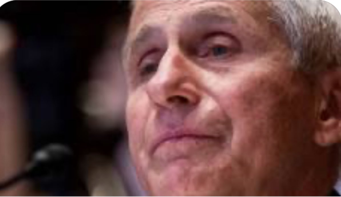 Dr Fauci made it hard for people to live, work, be educated, have a business in America.  He needs to go to jail!