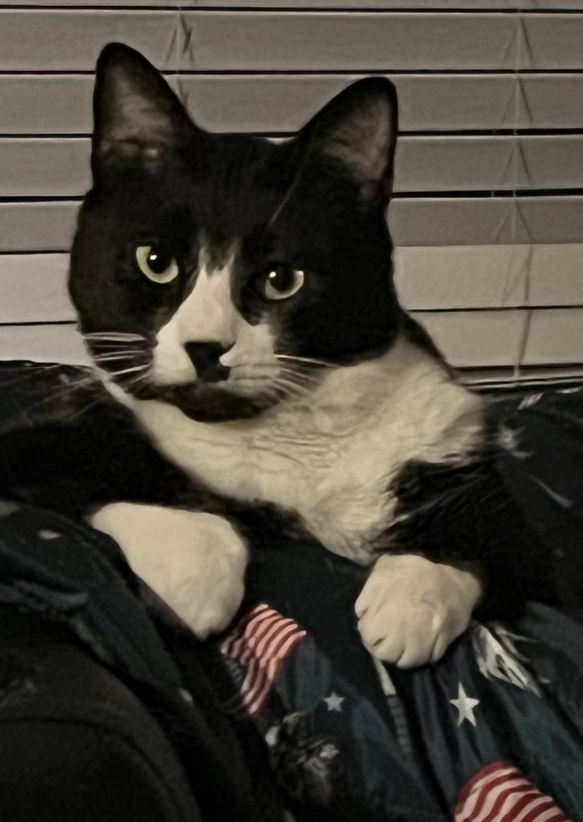 Onna behaff ov tha KittemCounsilm, mee tha Loosums (Lucy) sez wee loave yuuu fwends.

Wee loafe yu all sooo muches. 🖤🤍🖤