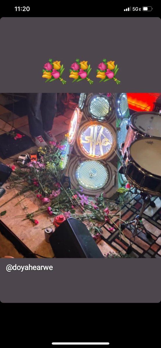 shellshag tweet media