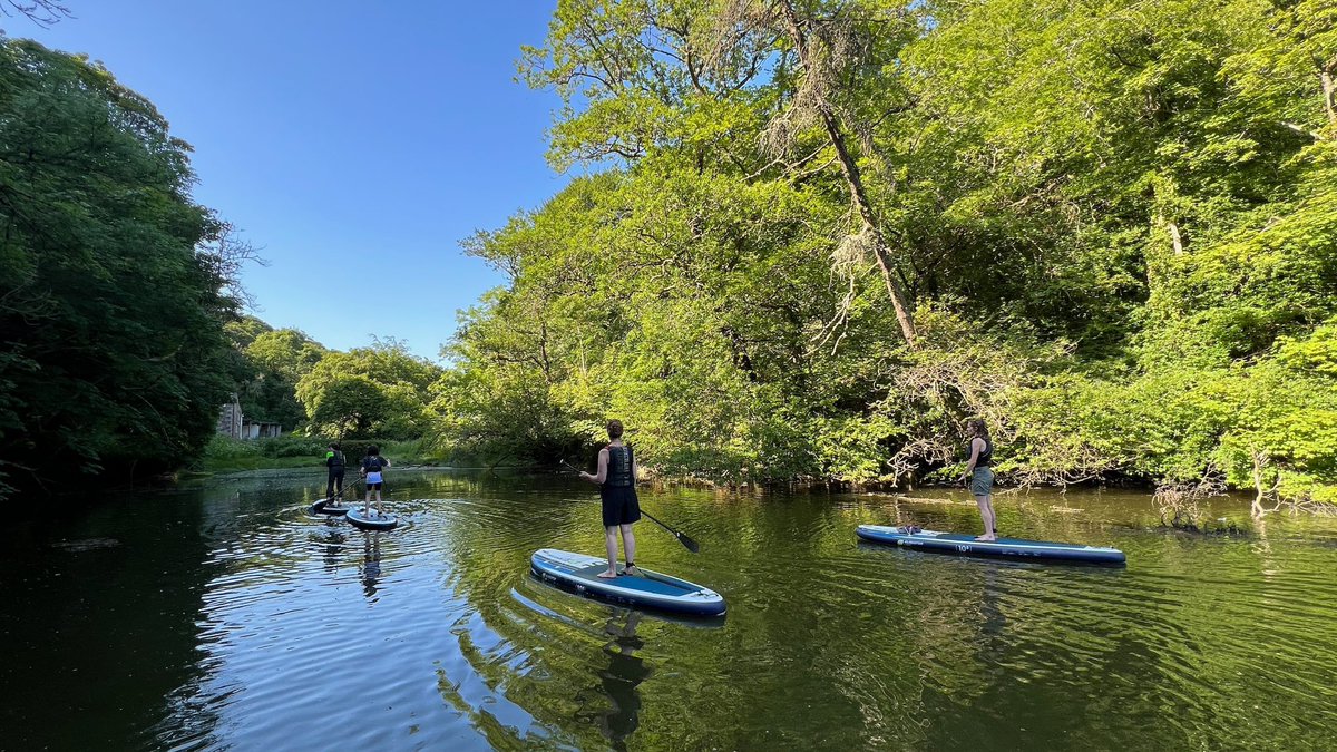 Koru Kayaking tweet media