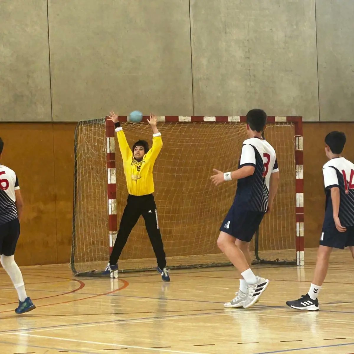 Handbol Sant Martí Adrianenc tweet media