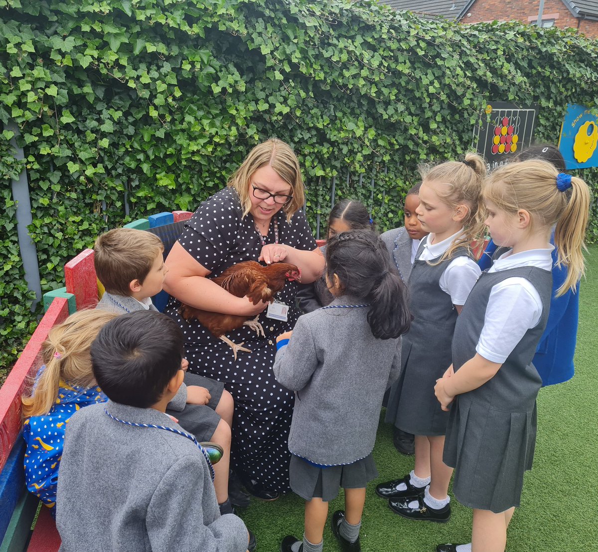 BSPDInfants's tweet photo. The chickens are proving very popular with the Beech House children and @BSPDNursery children!
Thank you @Smithillsfarm for helping to select two happy hens - they are now snuggled up, nice and cosy in their coop. 🐓❤️🐔 https://t.co/MR2epWXOyR