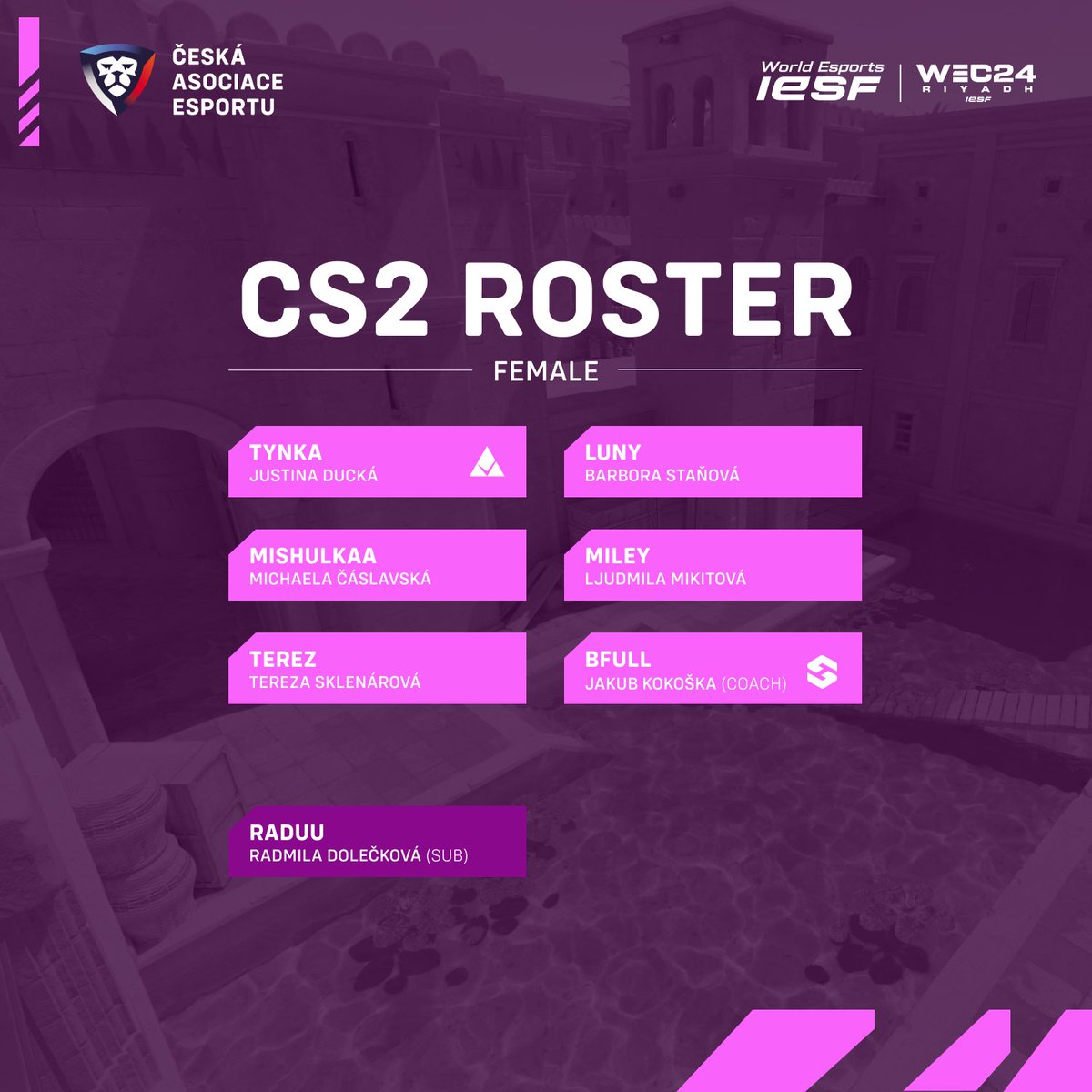 Česká asociace esportu tweet media