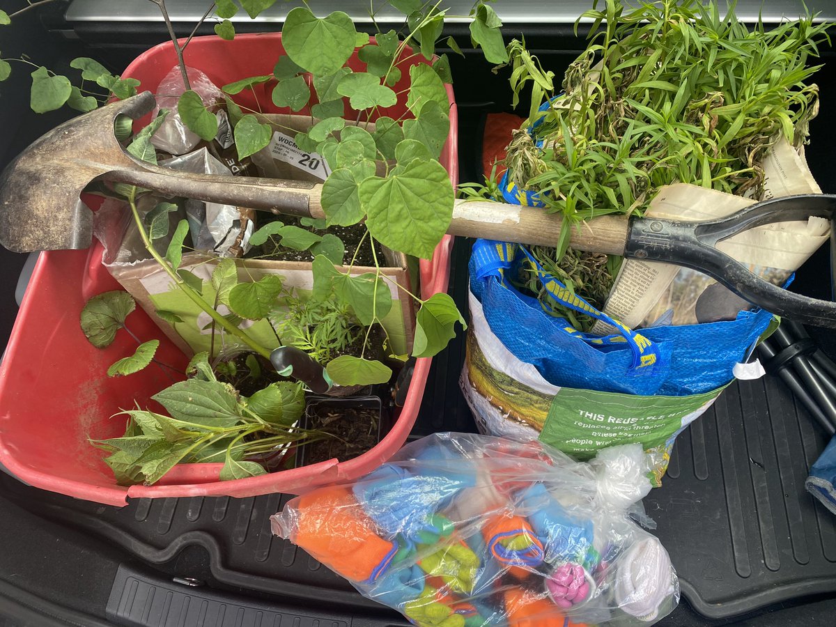 UrbanAdvSquad's tweet image. It’s shaping up to be an exciting day! We’re taking some inspo from our friends @caseytrees after we received some generosity from neighbors, and we’re planting native plants, incl. a redbud tree, @ Breakthrough Montessori. #ThisIsOutdoorLearning #Plants #Trees #OutdoorEducation