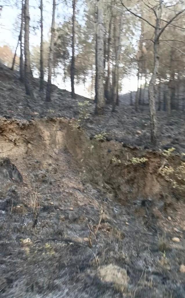 Aqeel Ahmed tweet media