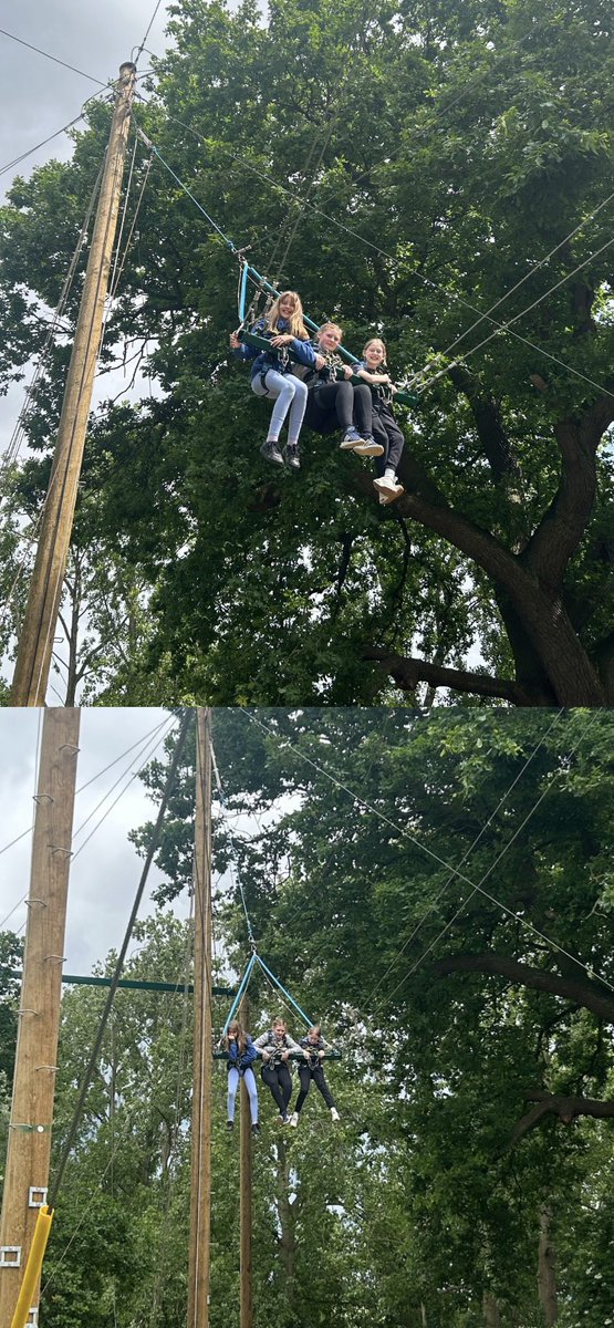 wclpsyear6's tweet photo. Group 3 swinging for their lives! 😀 https://t.co/uZi7llKndL
