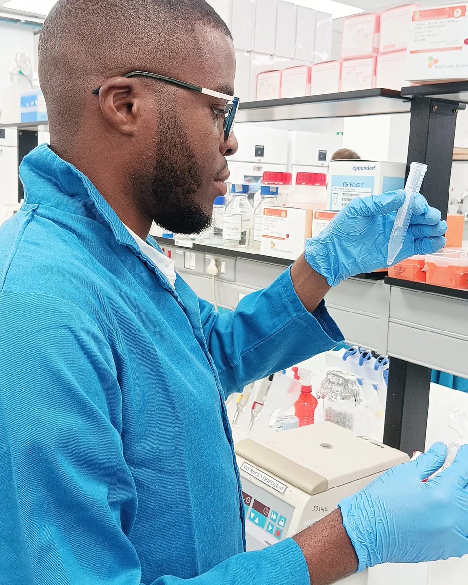 tbgenomics's tweet image. Even cold 🥶Mondays can't stop our #capacity-building programme! We're excited about the start of a 2-week deep dive into #Mycobacterial DNA extraction &amp;amp; #WGS-training course! Starting from the wet lab side, we welcome T. Makondo and K. Kaapu from the @ULvarsity!