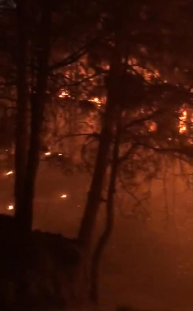 𝐅ᴀɪsᴀʟ 𝐌ᴇʜᴍᴏᴏᴅ 𝐒ᴀᴛᴛɪ tweet media