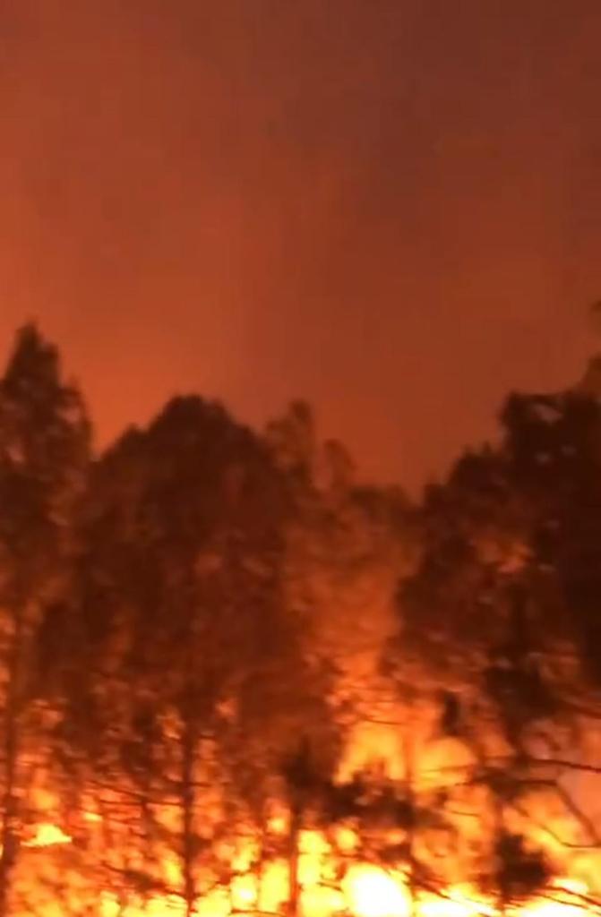 𝐅ᴀɪsᴀʟ 𝐌ᴇʜᴍᴏᴏᴅ 𝐒ᴀᴛᴛɪ tweet media