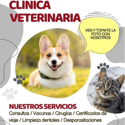 hospipet's tweet photo. #NuevaFotoDePerfil https://t.co/EhbESCKkhn