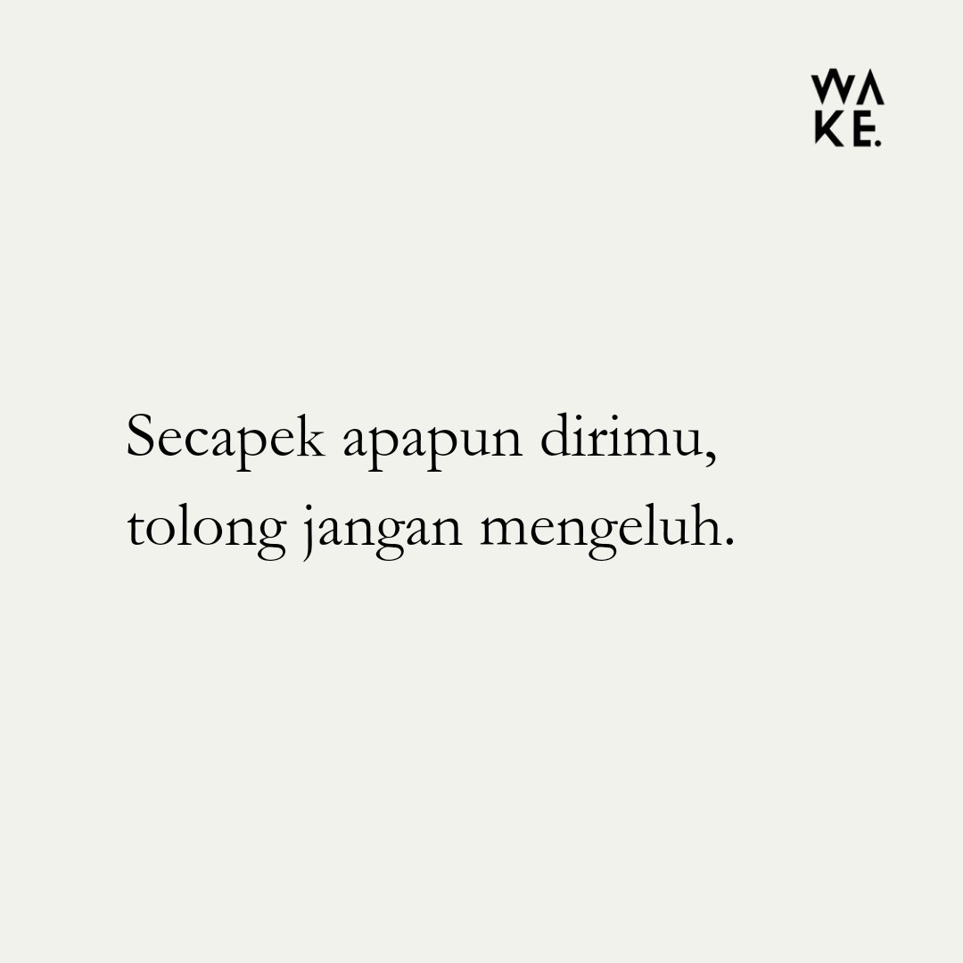 Wake Studio tweet media