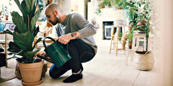 daftreportnews's tweet photo. What's the Average #SavingsAccount Balance? Insights &amp; Trends

The average #American family has $62,410 in #savings, across savings accounts, checking accounts, money market accounts, call deposit accounts, and prepaid cards.

@BusinessInsider

Source: https://t.co/WrETrknTzm https://t.co/nJsG8VzngP