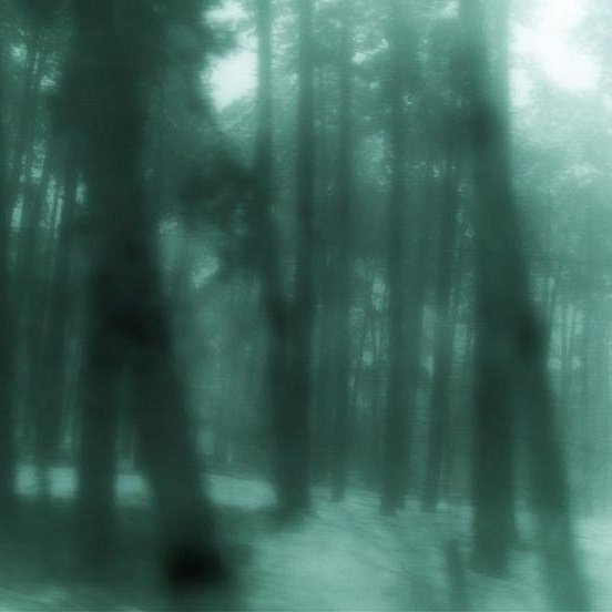 ᅠ
«the future belongs to those who believe in the beauty of their dreams.» 

всем привет, я Элис Каллен — вампир-предсказатель и член Олимпийского клана. я обожаю моду и стиль, но больше всего я люблю своего мужа Джаспера.

думаю, мы подружимся.
ᅠ