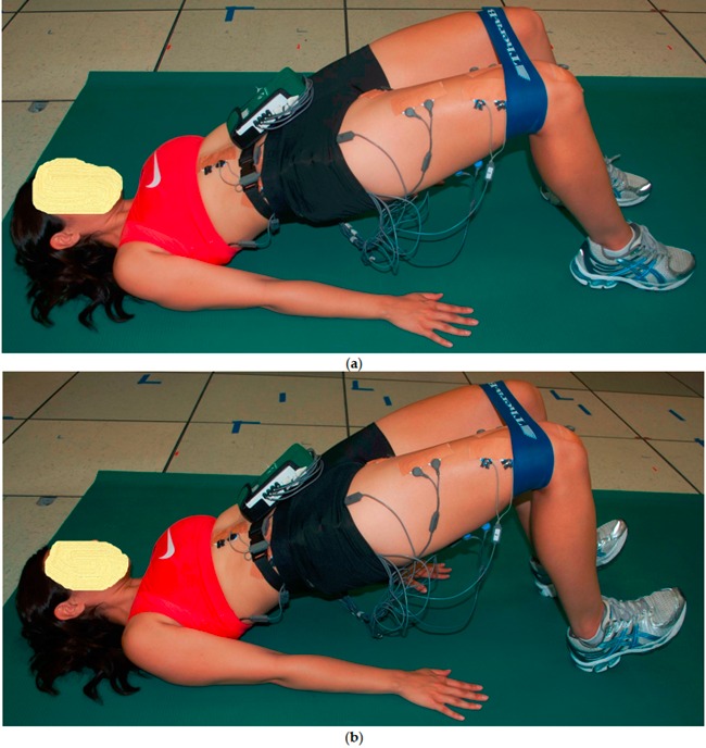 Physio Meets Science tweet media