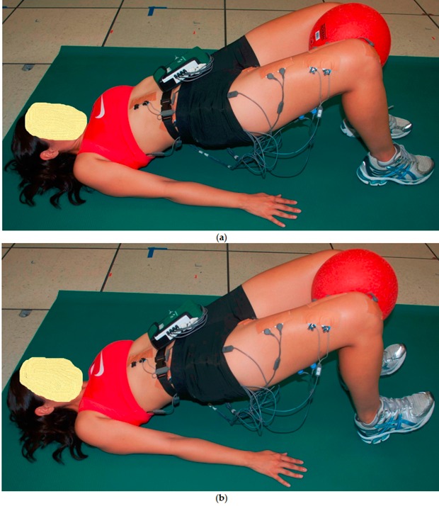 Physio Meets Science tweet media