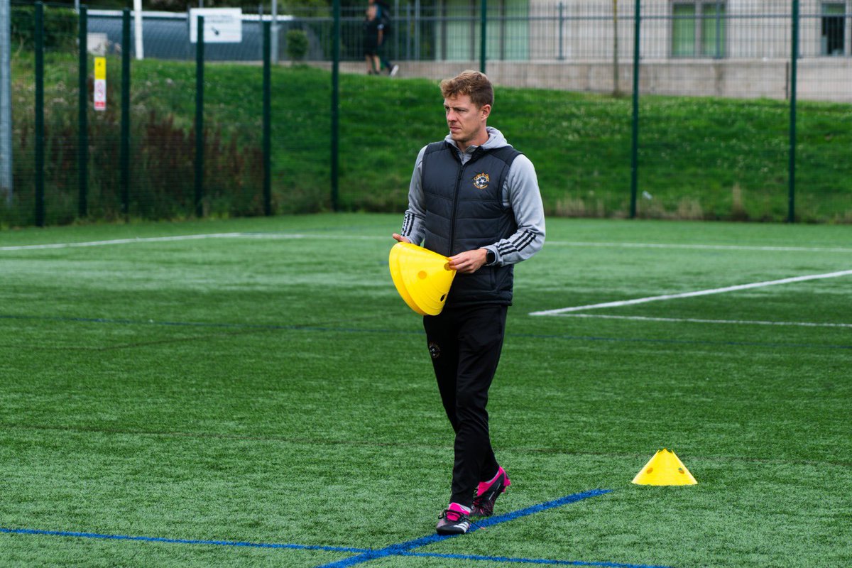 David Gold tweet media