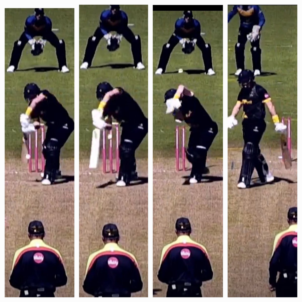 Alex Meredith tweet media