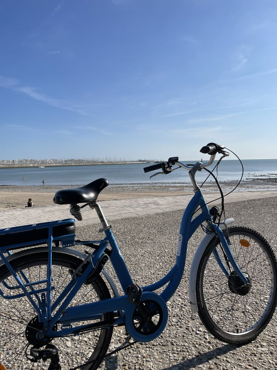 catherine pilon tweet media