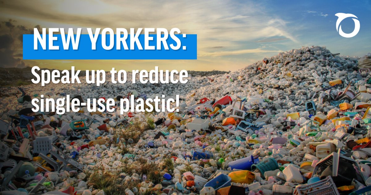 📢 NEW YORKERS: A proposed bill in the New York Legislature could help reduce single-use plastic pollution and protect our coasts and waterways! Add your name to support The Packaging Reduction Act today: oceana.ly/45c8meg