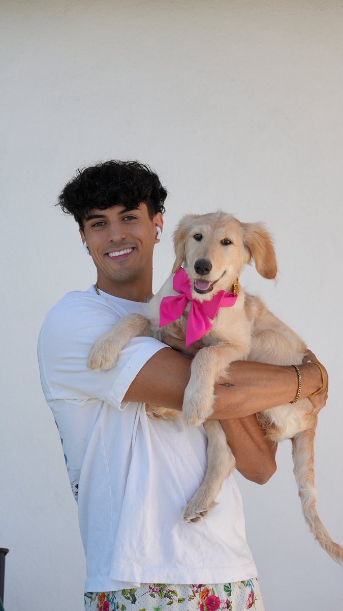 ChrisIvan_10's tweet photo. meet fettuccine my new pup https://t.co/Al3wKnC4on