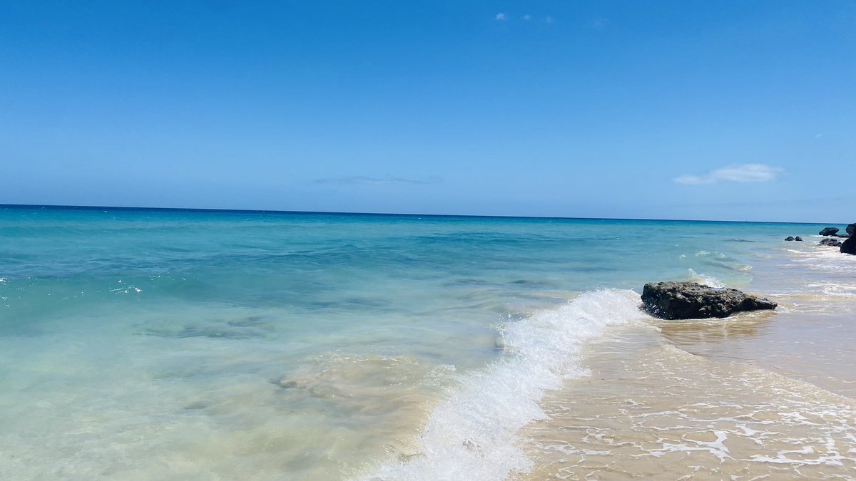 CosimoDonzella's tweet image. #morrojable
#fuerteventura