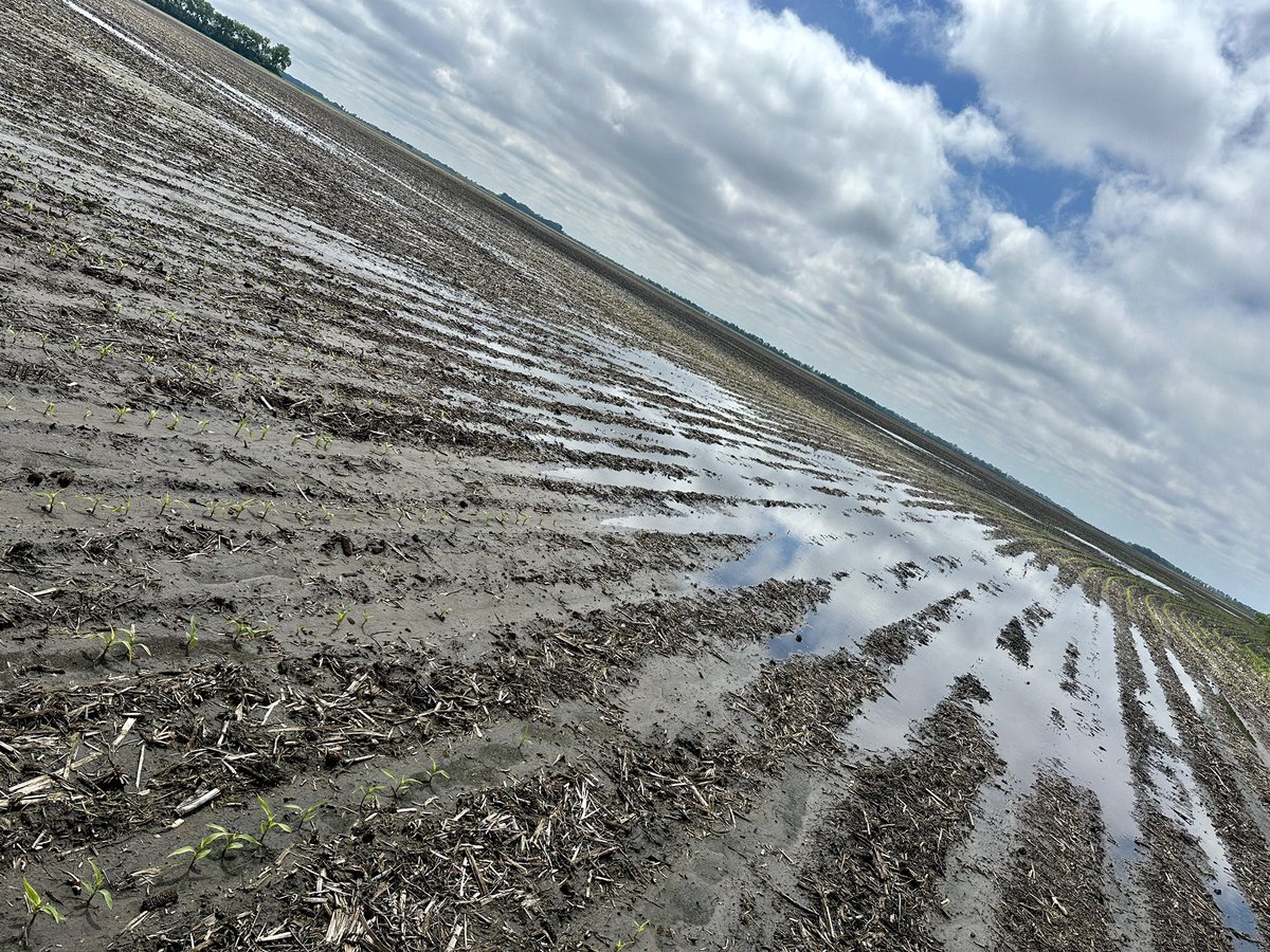 Plans for the day? 

Ya, drive around look at water.