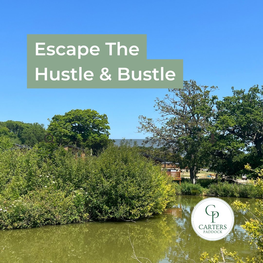 Escape the hustle and bustle and savor the simple pleasures at Roebeck Country Park. 🌳

Nestled in the scenic woods of Ryde, Isle of Wight, our family-owned park offers modern, spacious 2 &amp; 3 bedroom holiday lodges for sale. 

Discover more > bit.ly/3plFJ7J

#iow