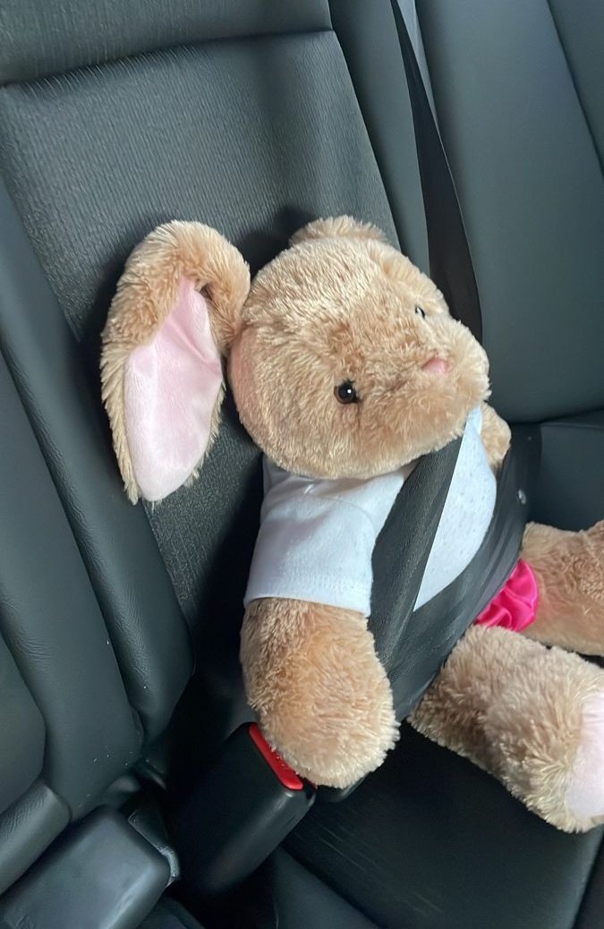 Levando a Nono e a bebê coelho dela para o shopping. ☝🏻