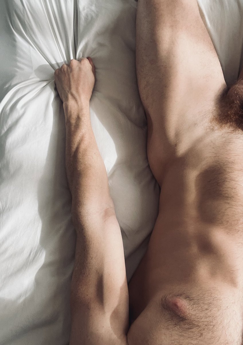 The Red Ginger tweet media