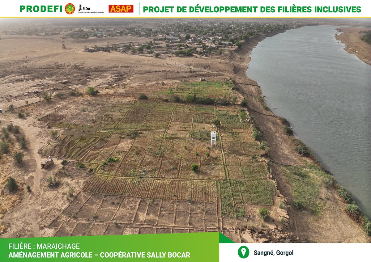 Prodefi_Mr's tweet photo. Au bord du fleuve de Sénégal, le Projet PRODEFI intervient sur l'aménagement des périmètres maraichers au profit des femmes et jeunes ruraux.
@FIDAfriqueOuest 
@leFIDA https://t.co/O6fe4Wtu8N